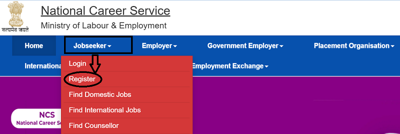 National Career Service